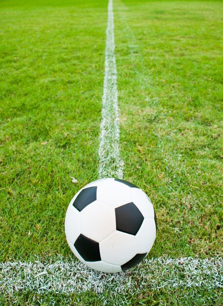 中国联合四国申办2034世界杯 助力全球足球交流盛事